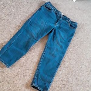 Size 16W Womens Jean's Petite